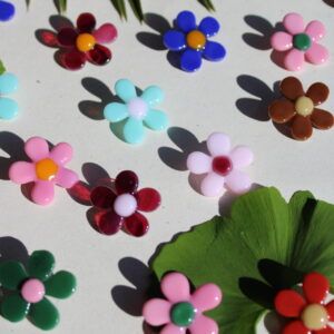 DAISY - COLLECTIE